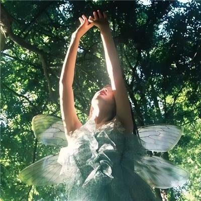 无畏上将高尔察克